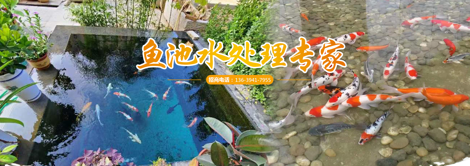 <strong>濟(jì)寧藝水芳源生態(tài)水族設(shè)備有限公司</strong>