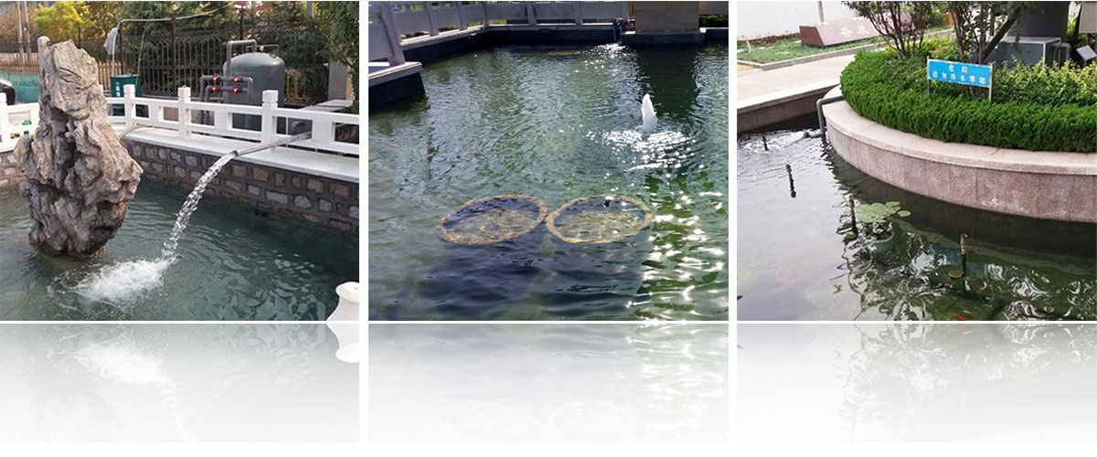 濟(jì)寧藝水芳源生態(tài)水族設(shè)備有限公司