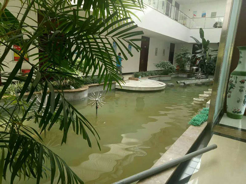 煙臺魚池水處理水凈化水循環(huán)設備