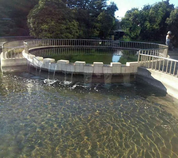 全自動(dòng)循環(huán)水設(shè)備