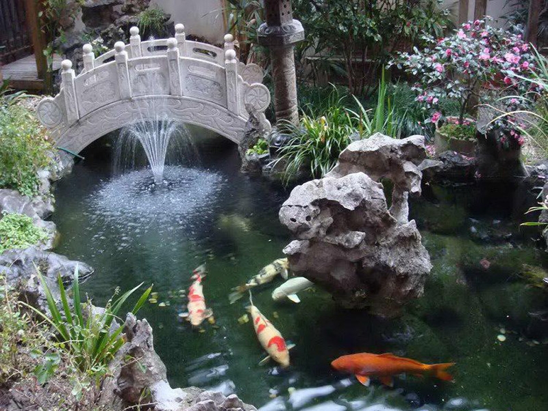 全自動(dòng)過(guò)濾消毒系統(tǒng)