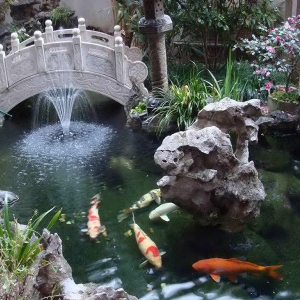 全自動(dòng)過(guò)濾消毒系統(tǒng)