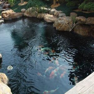 全自動循環(huán)水設備