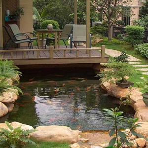 全自動(dòng)魚(yú)池凈化設(shè)備