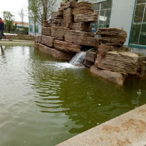 全自動(dòng)魚(yú)池凈化設(shè)備