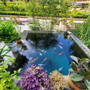 濟(jì)寧藝水芳源魚(yú)池過(guò)濾器客戶實(shí)地效果展示