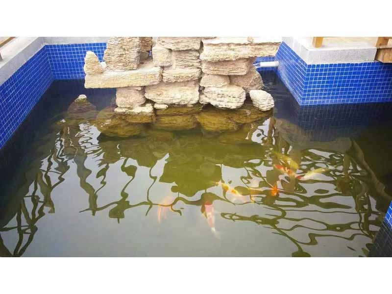 全自動(dòng)循環(huán)水設(shè)備