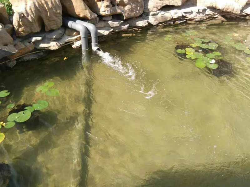 魚池過濾器客戶實地效果展示