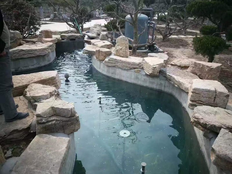 魚(yú)池過(guò)濾器客戶(hù)實(shí)地效果展示