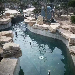 魚(yú)池過(guò)濾器客戶(hù)實(shí)地效果展示